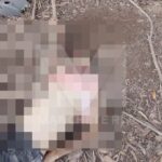 Corpo de homem é encontrado próximo a local onde mulher foi vista morta, em Campos