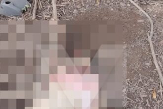 Corpo de homem é encontrado próximo a local onde mulher foi vista morta, em Campos
