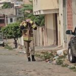 Ataque de enxame de abelhas deixa 8 vítimas em Campos