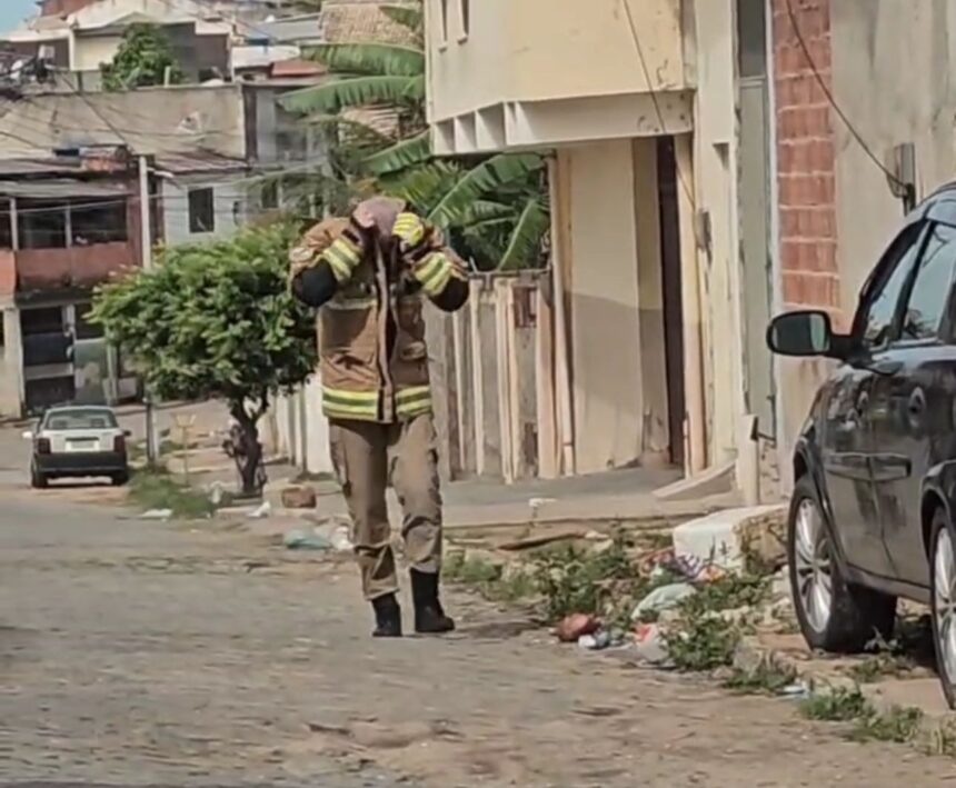 Ataque de enxame de abelhas deixa 8 vítimas em Campos