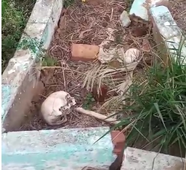 Licitações barradas na Justiça por irregularidades e abandono: cemitérios de Campos enfrentam situação preocupante