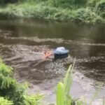 Sem passarela há mais de um ano, moradores da região do Imbé, em Campos, voltam a sofrer com a chuva e ficam ilhados