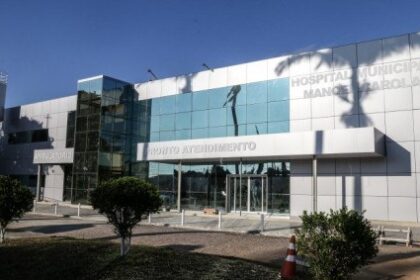 Idosa morre em SFI por possível picada de aranha-marrom