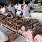 Enel corta energia elétrica de peixaria do Mercado e mais três unidades da Prefeitura de Campos