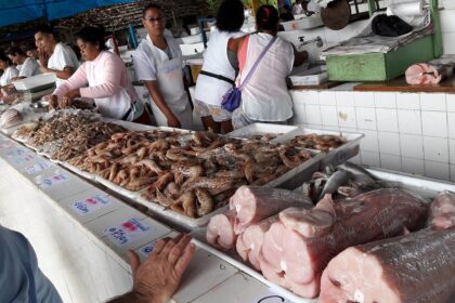 Enel corta energia elétrica de peixaria do Mercado e mais três unidades da Prefeitura de Campos