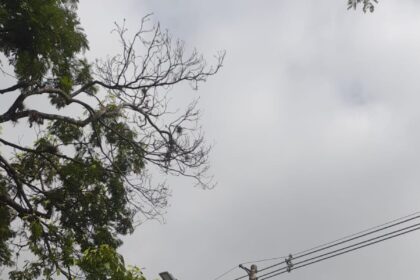 Enel informa que a dívida da Prefeitura de Campos, na gestão de Wladimir Garotinho, com a concessionária ultrapassa R$ 75 milhões