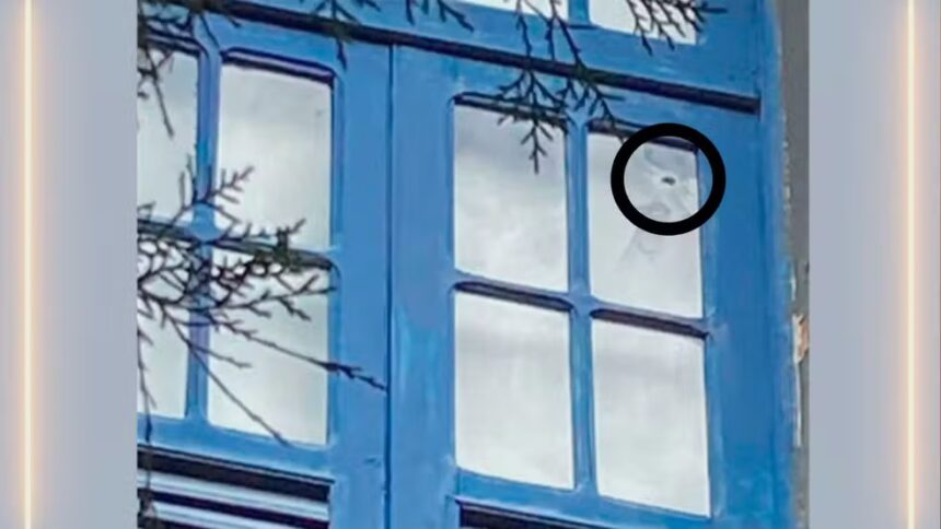 Tiro que matou médica da Marinha entrou pela janela do 2°andar de anexo do hospital