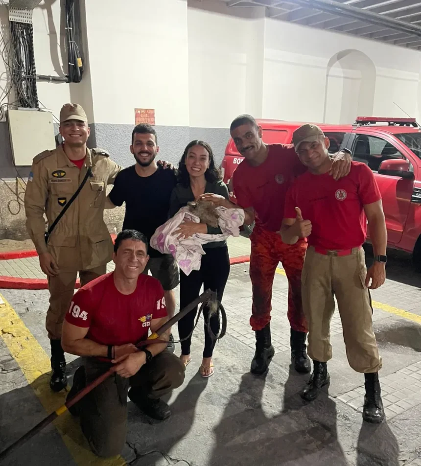 Cachorro é resgatado após ficar 5 horas preso em vão da Ponte Rio-Niterói