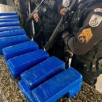 Polícia apreende 23 kg de maconha escondida dentro de um banheiro, em Campos