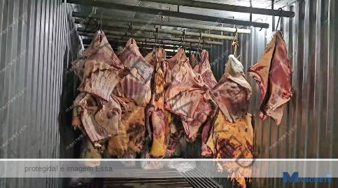 Quatro pessoas são presas no RJ por envolvimento em empresa que revendeu carne estragada, a qual ficou submersa nas enchentes do Rio Grande do Sul