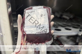 Com estoque zerado, Hemocentro faz apelo por doações com urgência