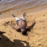 Homem morre afogado em Lagoa de Cima, nesta quinta-feira