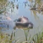 Pescador encontra corpo de homem boiando no Farol, em Campos