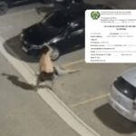 Homem que matou subsíndico em Campos é apontado como autor de ao menos 16 crimes