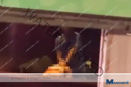 Casal é flagrado fazendo sexo em camarote da Sapucaí no Rio