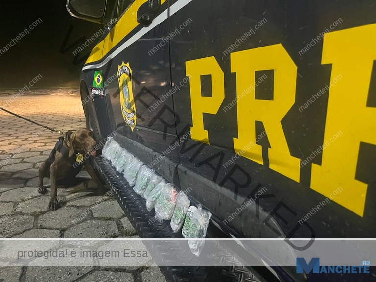 Jovem que transportava drogas de São Paulo para Campos é presa pela PRF