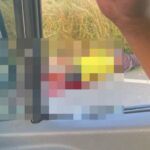 Motociclista morre após colidir com reboque na Baixada Campista