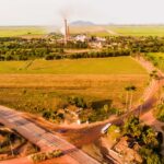 COAGRO e UFRRJ impulsionam setor sucroenergético com avanços no melhoramento genético da cana