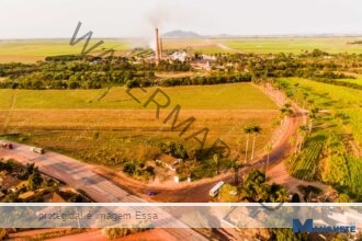 COAGRO e UFRRJ impulsionam setor sucroenergético com avanços no melhoramento genético da cana