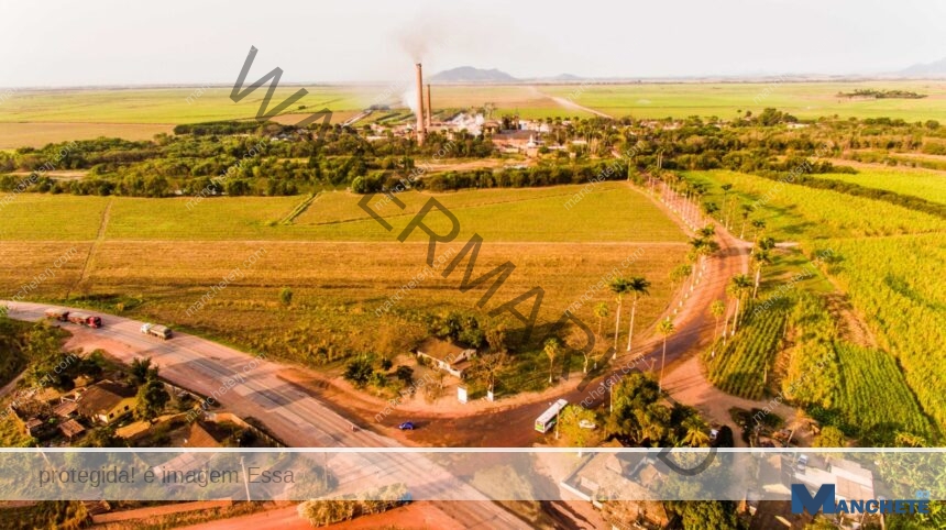 COAGRO e UFRRJ impulsionam setor sucroenergético com avanços no melhoramento genético da cana