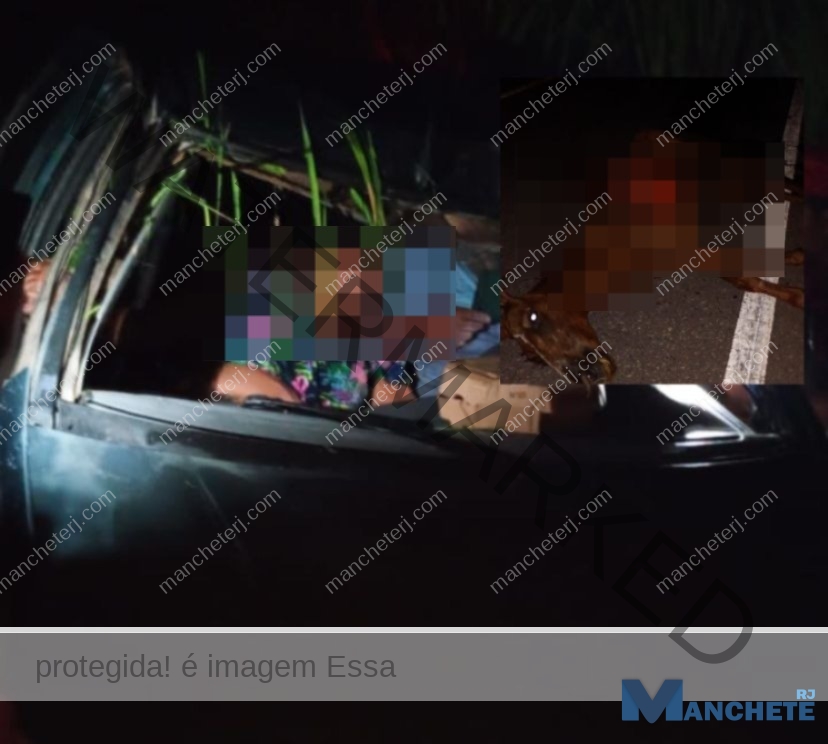 Casal fica ferido e cavalo morre após acidente em Travessão