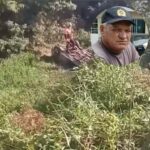 Corpo de homem desaparecido após cair com carro em valão é encontrado em Campos