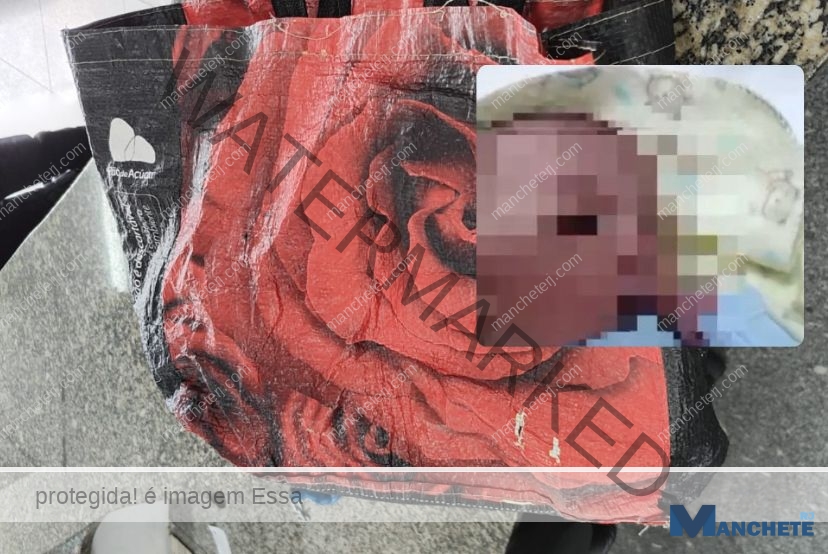 Bebê recém-nascido é encontrado dentro de sacola no Parque Santa Helena, em Campos