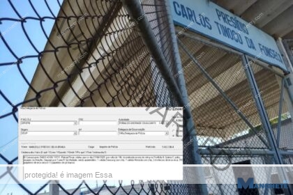 Varredura em presídio de Campos apreendeu celulares e drogas