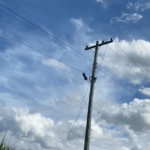 Moradores de Travessão seguem sem energia após rompimento de fios na madrugada desta terça-feira