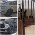 Cavalos que totalizam R$ 6 milhões e três carros de luxo estão entre os bens apreendidos em operação contra dono de rancho, em Campos