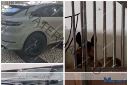 Cavalos que totalizam R$ 6 milhões e três carros de luxo estão entre os bens apreendidos em operação contra dono de rancho, em Campos