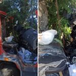 Motorista e ajudante ficam gravemente feridos após caminhão atingir árvore na BR-356, em Cardoso Moreira