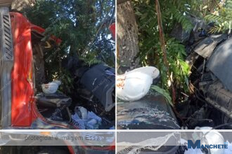 Motorista e ajudante ficam gravemente feridos após caminhão atingir árvore na BR-356, em Cardoso Moreira