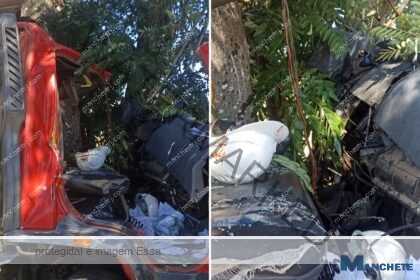 Motorista e ajudante ficam gravemente feridos após caminhão atingir árvore na BR-356, em Cardoso Moreira