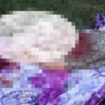 Homem que decapitou moradora de comunidade em Guarus é condenado a 24 anos de prisão