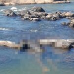 Corpo de homem é encontrado sobre pedra no Rio Paraíba do Sul