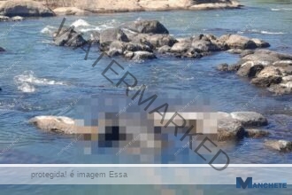 Corpo de homem é encontrado sobre pedra no Rio Paraíba do Sul