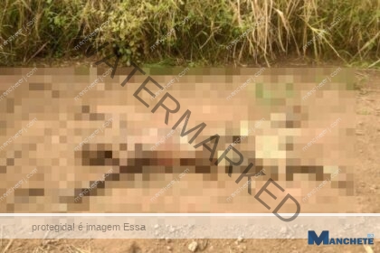 Corpo em avançado estado de decomposição é encontrado em estrada de Campos