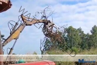 Excesso de buracos faz moradores protestarem na estrada da Usina São João