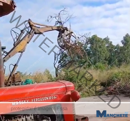 Excesso de buracos faz moradores protestarem na estrada da Usina São João