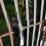 Homem é assassinado a tiros no quintal de casa em Campos