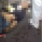 Motociclista fica ferido após colidir com vaca solta na RJ-216, em Campos