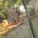 Adolescente é apreendido suspeito de assassinar pai, mãe e irmão após corpos serem encontrados dentro de cisterna em Itaperuna