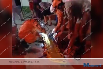 Motorista de aplicativo tenta impedir que bandidos levem seu carro e acaba ferido em Campos