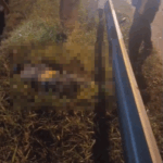 Motociclista morre em grave acidente com caminhão na BR-101, em Campos
