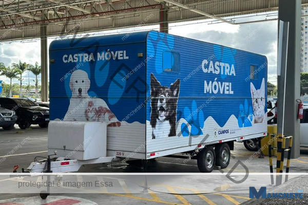 CCZ abre inscrição para castração gratuita de cães e gatos de 10 novos bairros em Campos