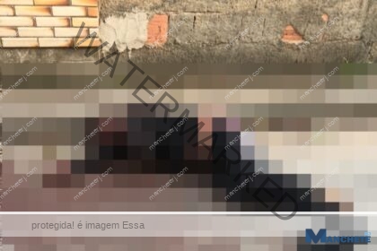 Homem encontrado morto na Baixada Campista foi espancado e sofreu tijoladas, informa polícia