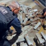 Polícia apreende 175 kg de maconha em caminhão e prende motorista em Campos