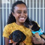 Feira de adoção de cães e gatos acontece neste fim de semana em Campos