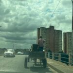 Nove anos após a lei Campos passa a proibir carroças nas principais vias urbanas
